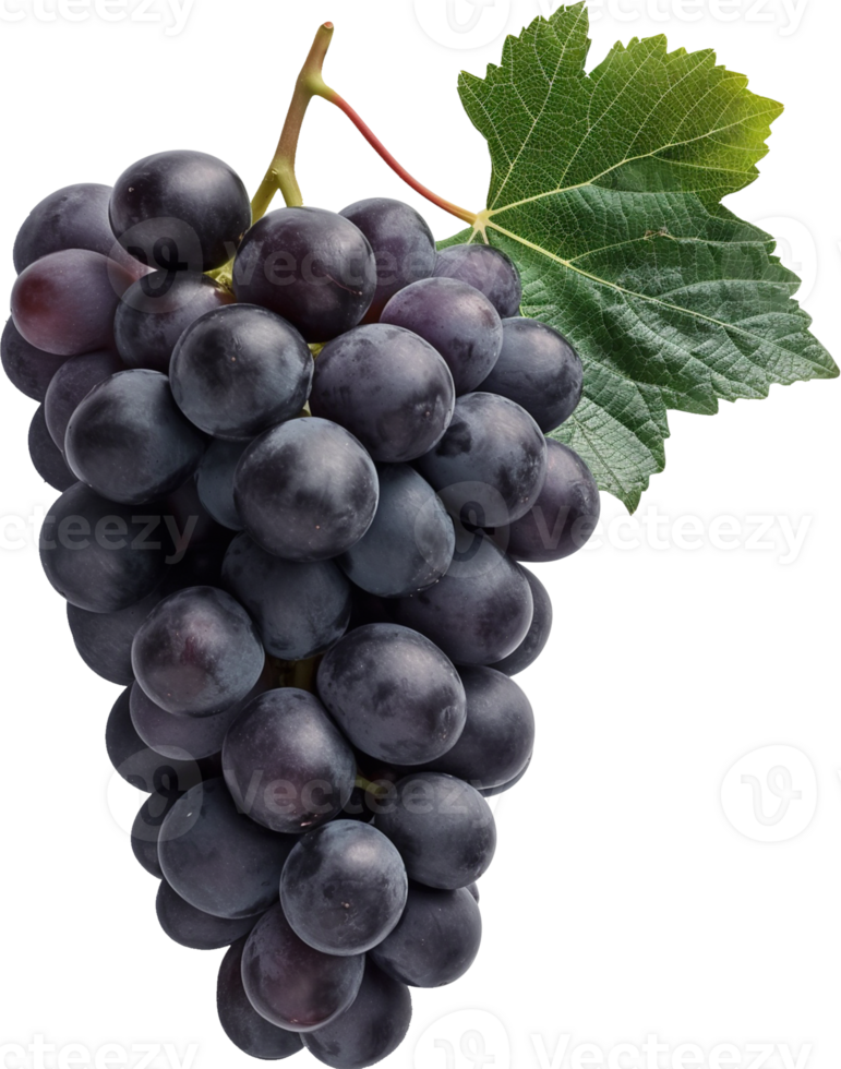 Dark blue grape with leaves isolated png