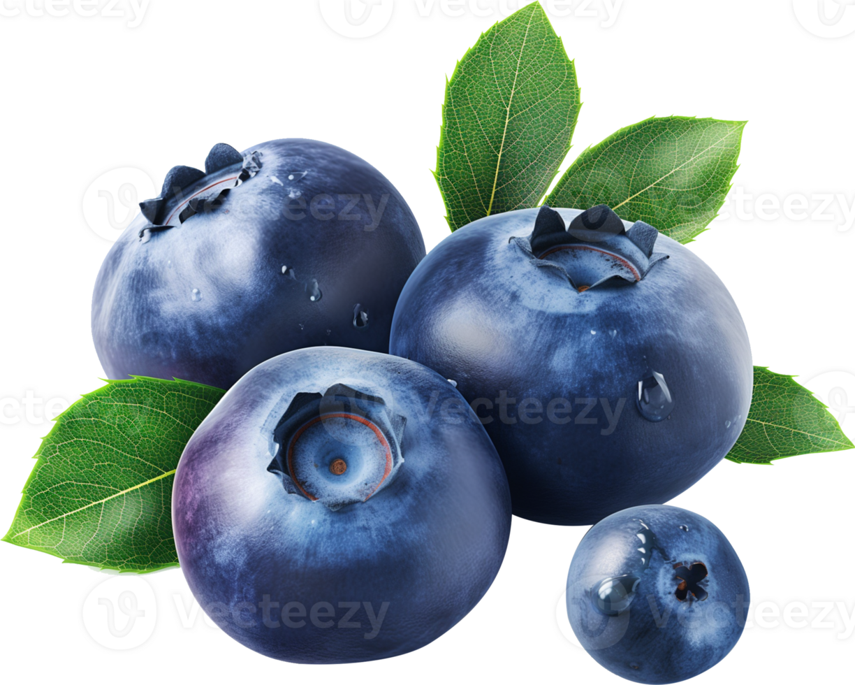 Fresh ripe blueberries with leaves isolated png