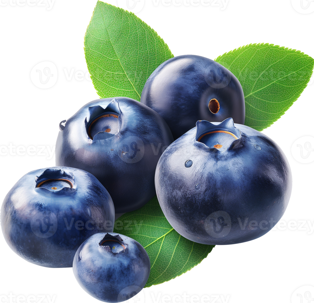 Fresh ripe blueberries with leaves isolated png