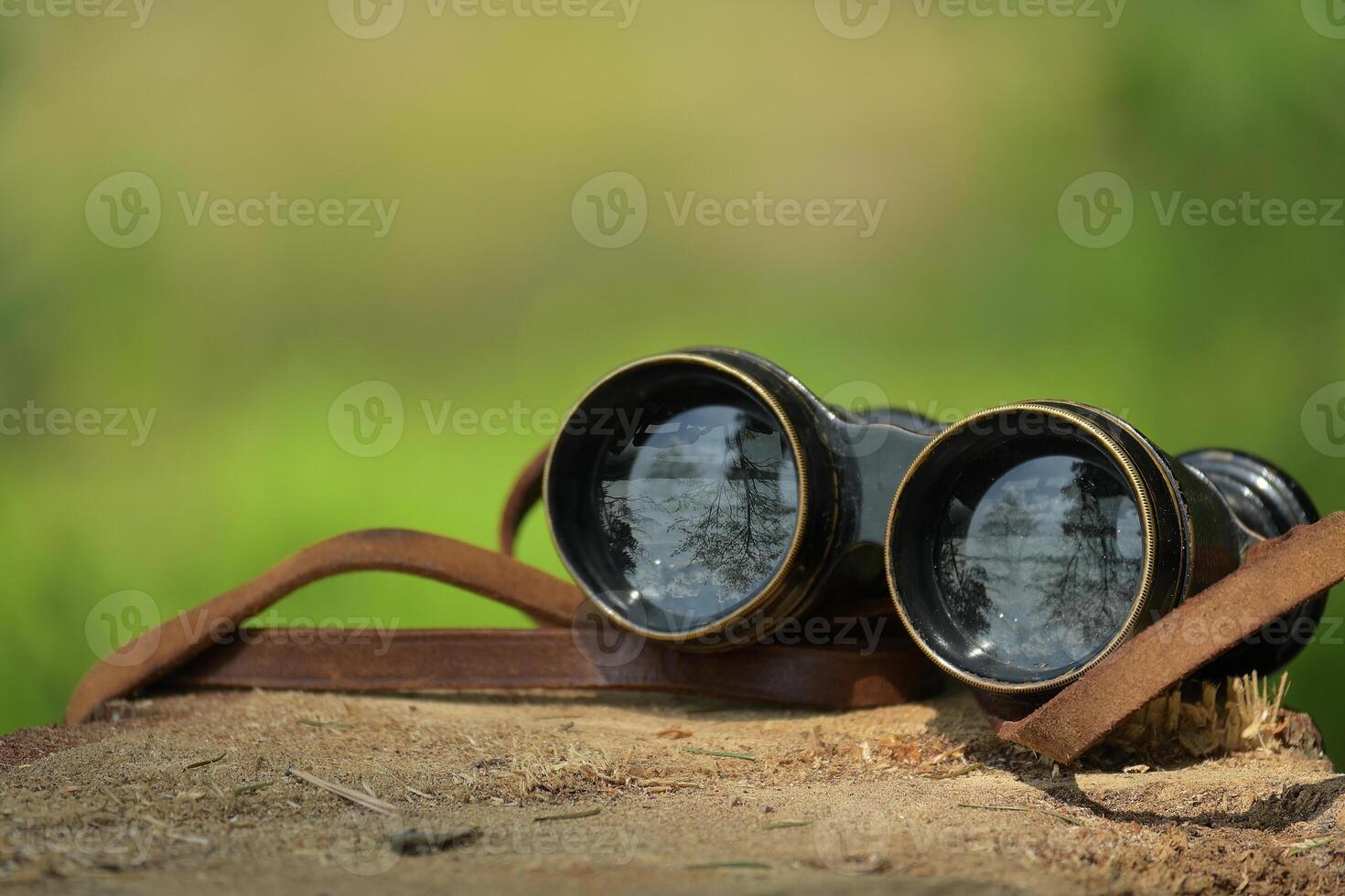 Old fashioned binoculars resting on tree stump photo