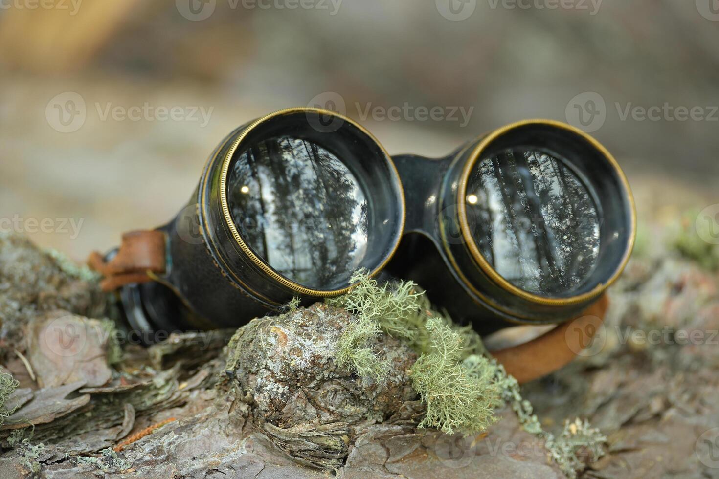 Aged binoculars with a leather strap resting in forest setting photo