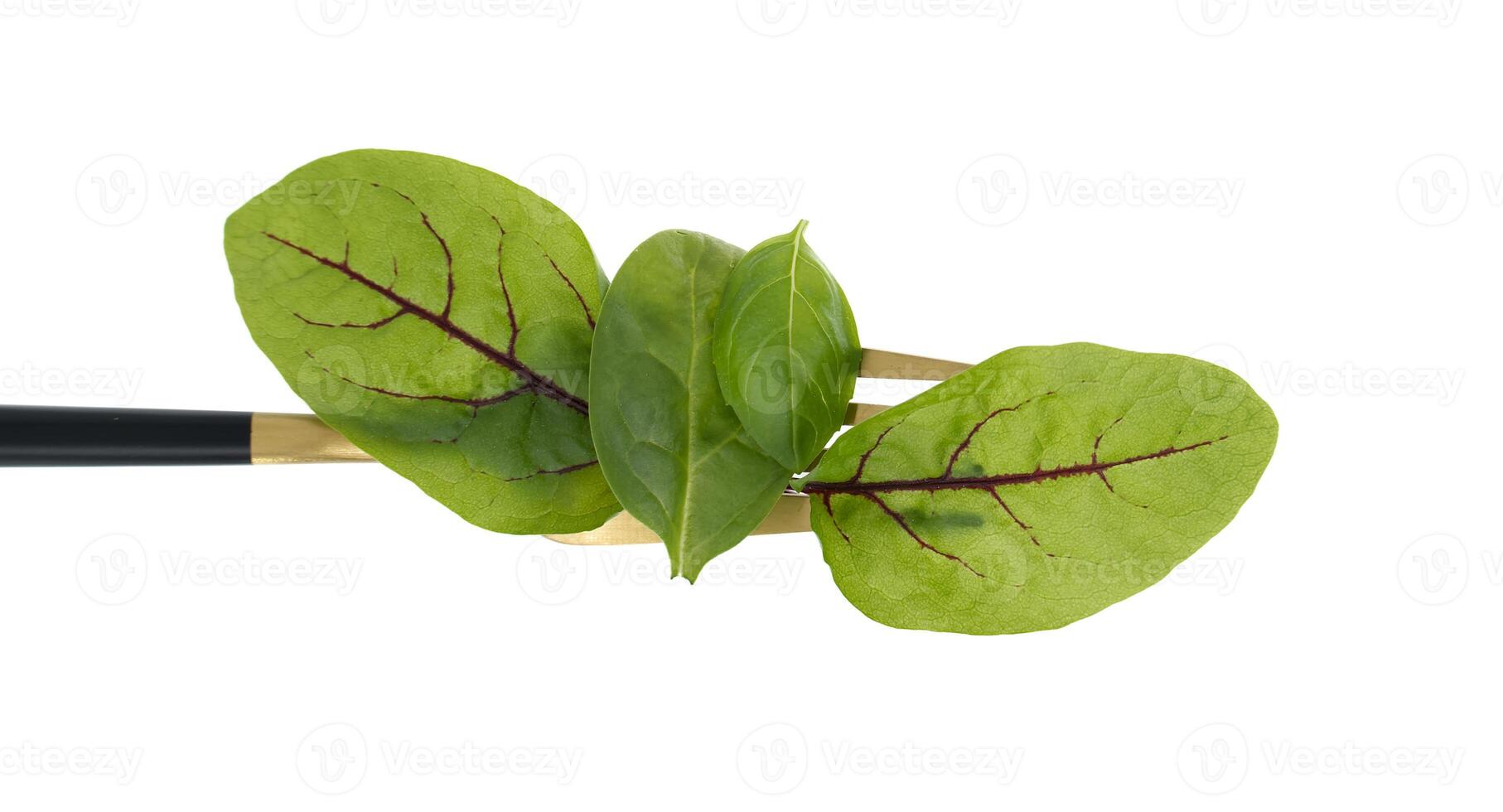 Fresh green tone of the lettuce leaves on gold fork isolated on white photo
