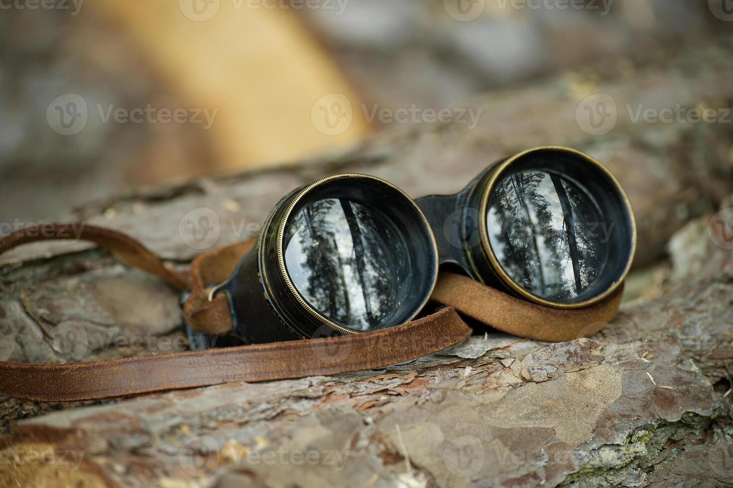Aged binoculars with a leather strap resting in forest setting photo