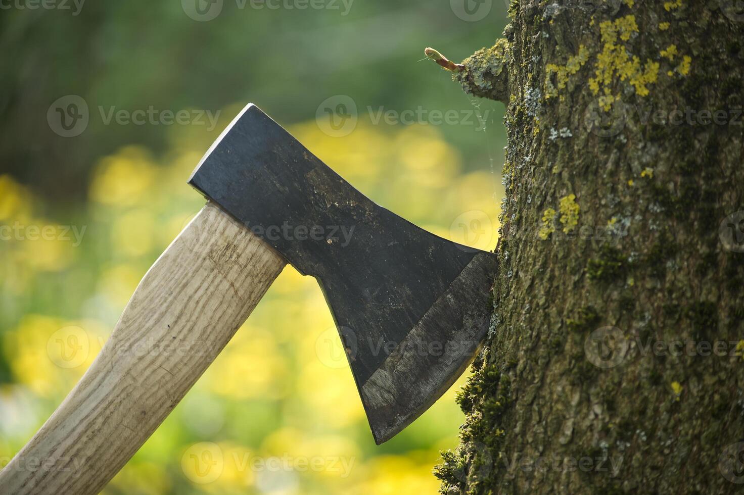 Axe stuck in tree stump in background of felled forest photo