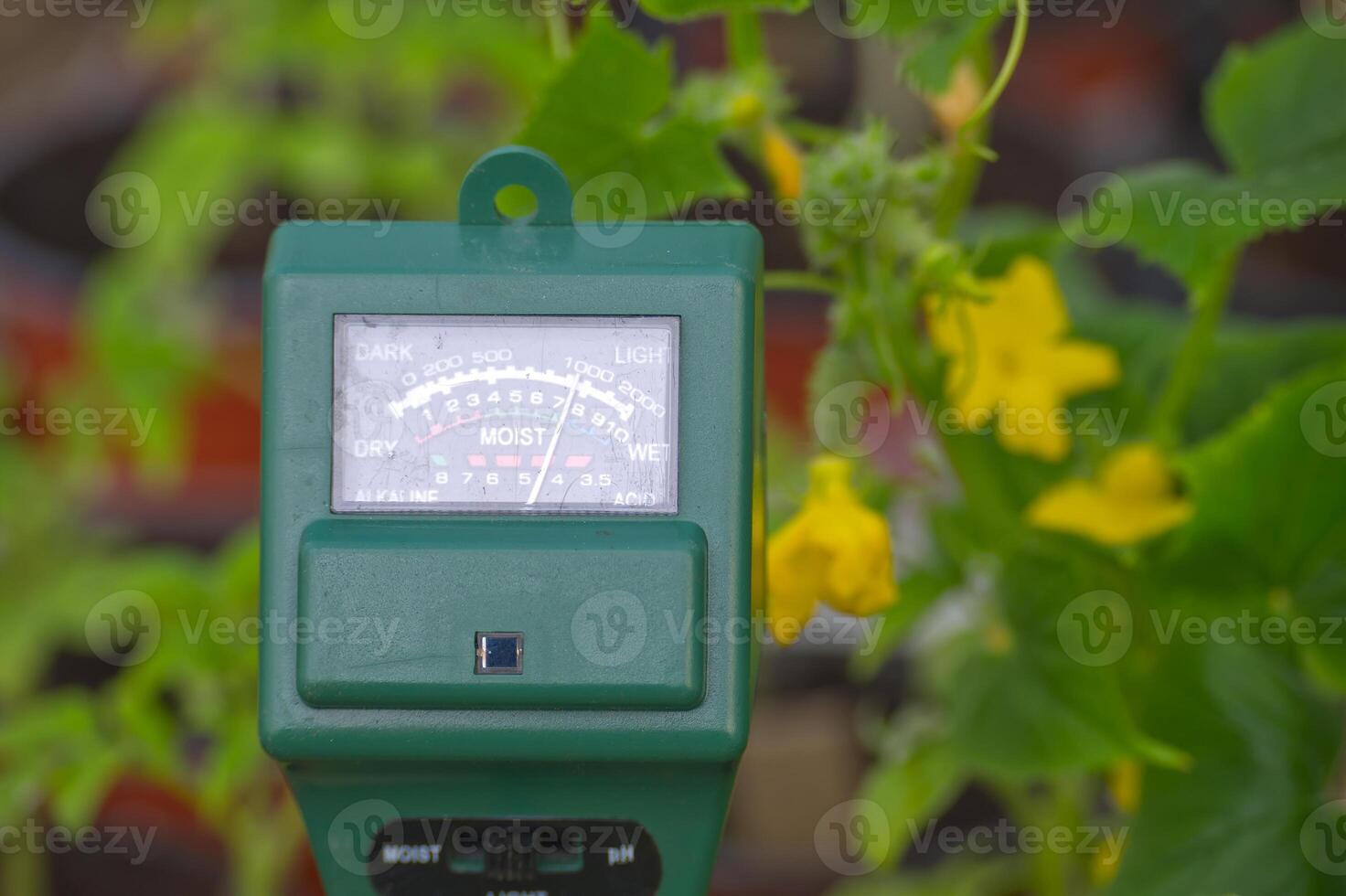 Three way meter PH, light and moisture in the soil photo