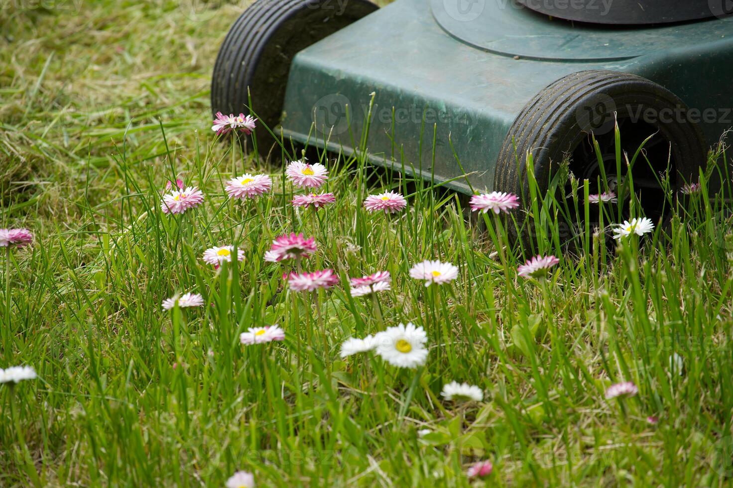 Yard maintenance concept with lawn mower photo