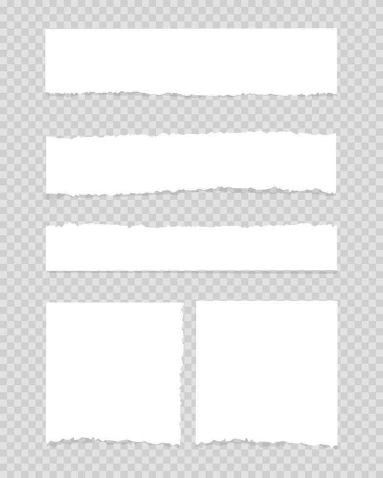 Collection of torn, ripped pieces of white color paper. vector