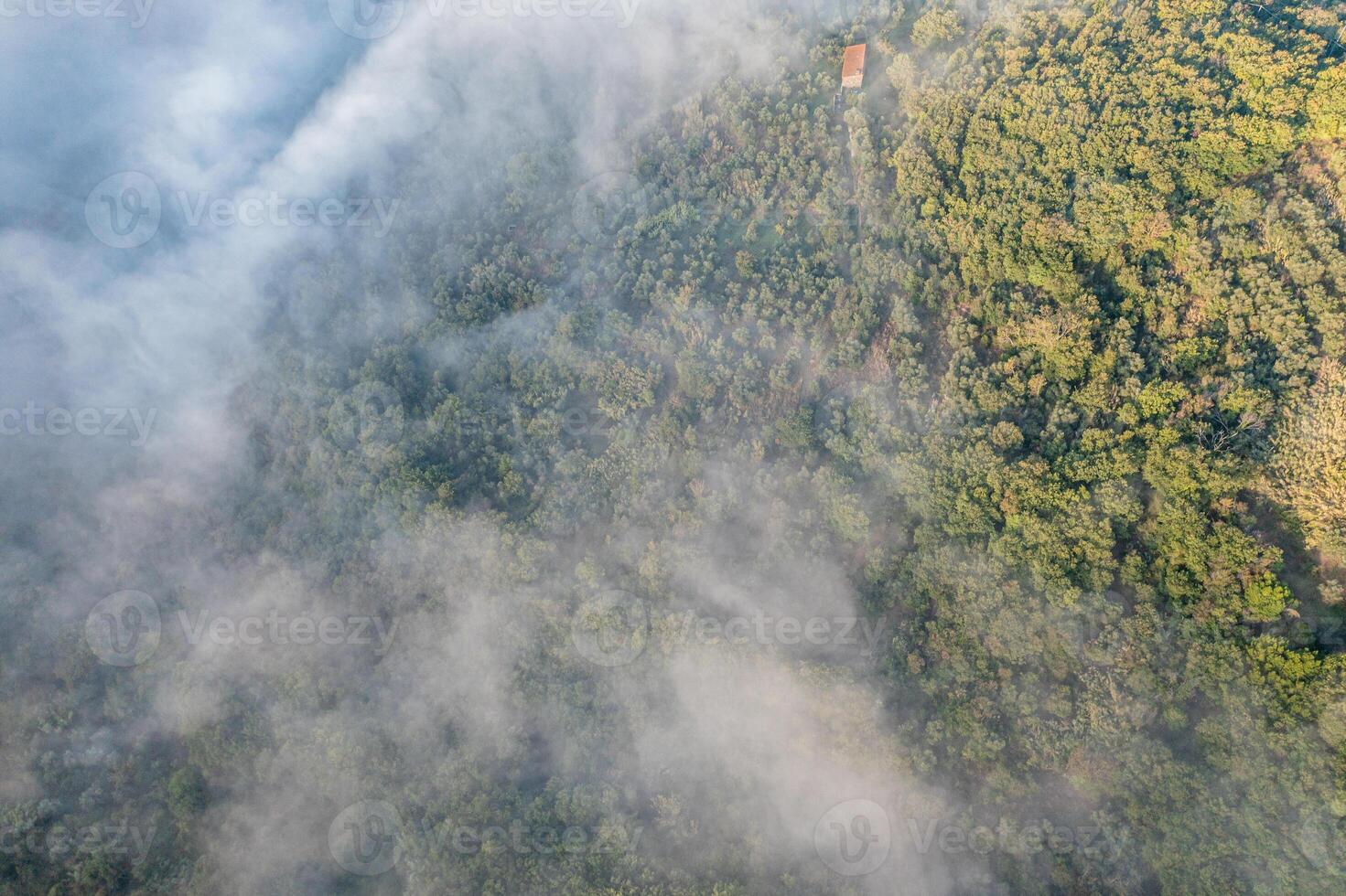 Tuscany from above. Wine and Olive field with fog around. Drone Shot photo