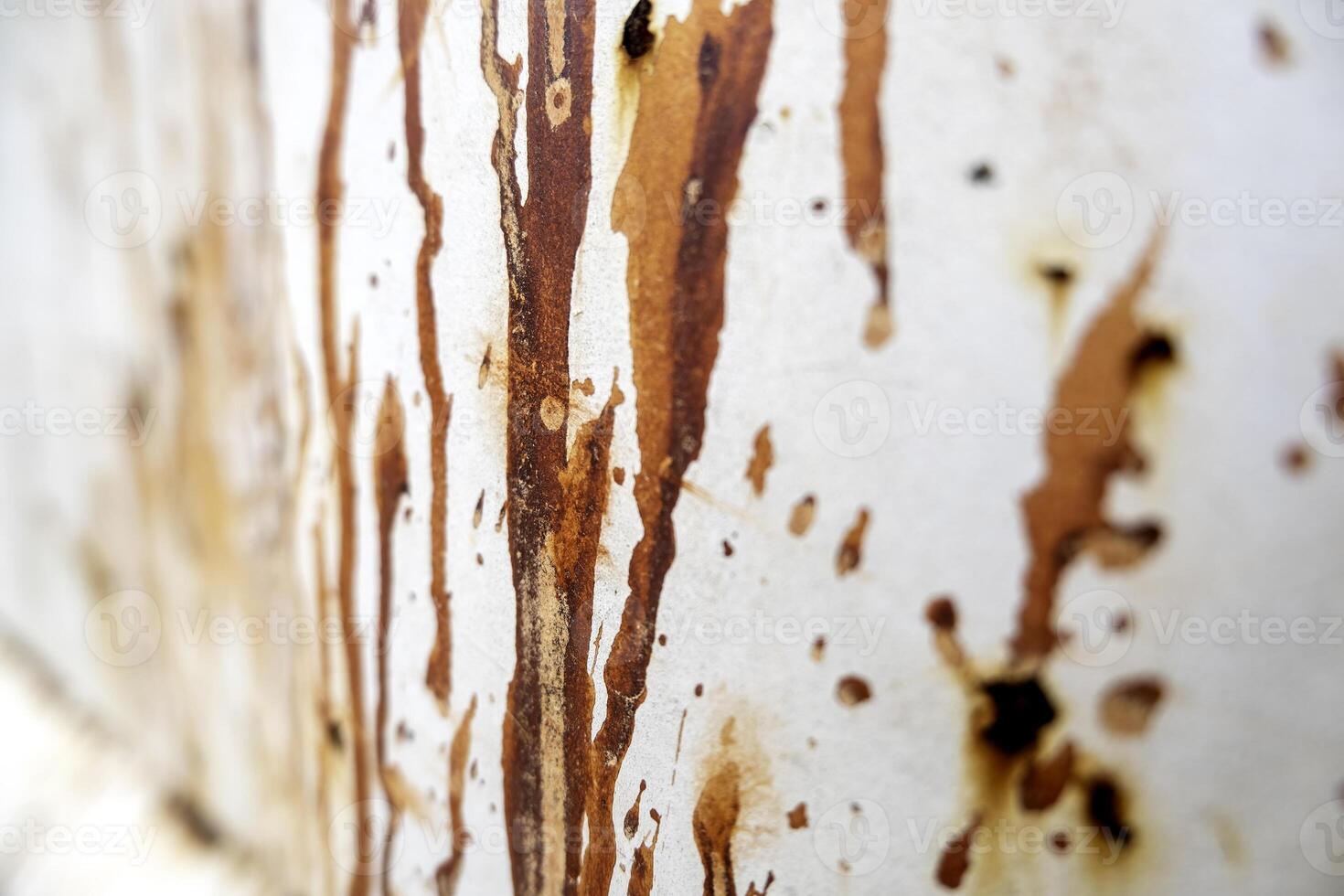 Rusty metal background photo