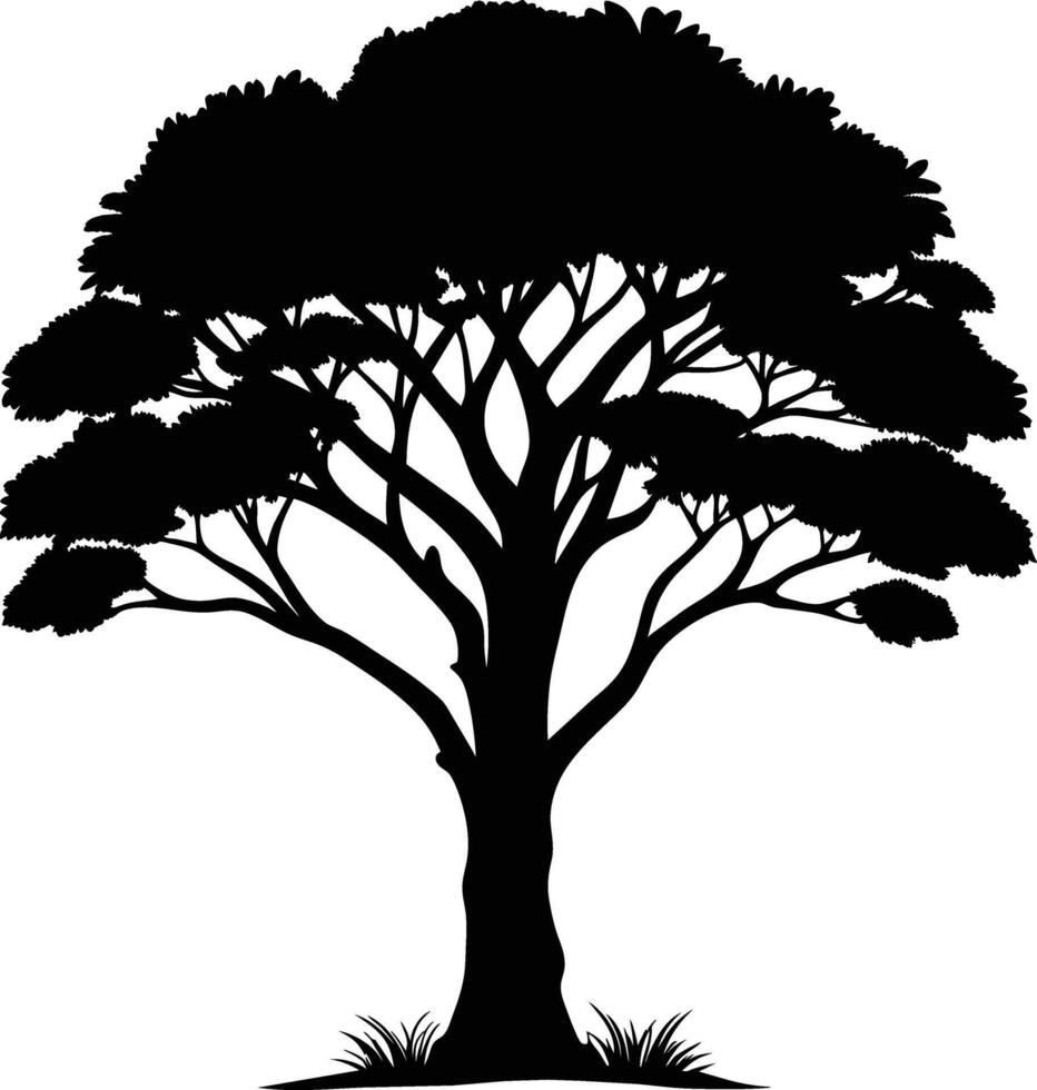 A illustration of african tree silhouette vector
