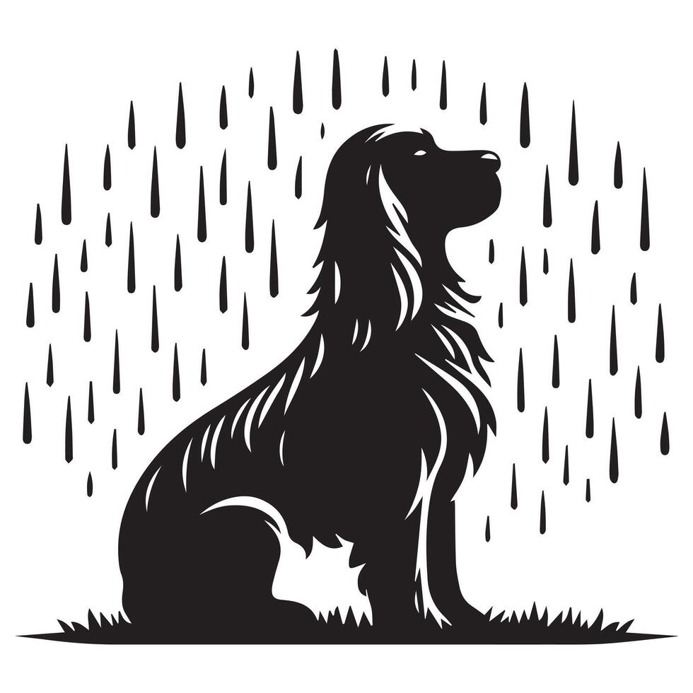 Dog - A Cocker Spaniel's contemplative stance during a rain shower illustration vector