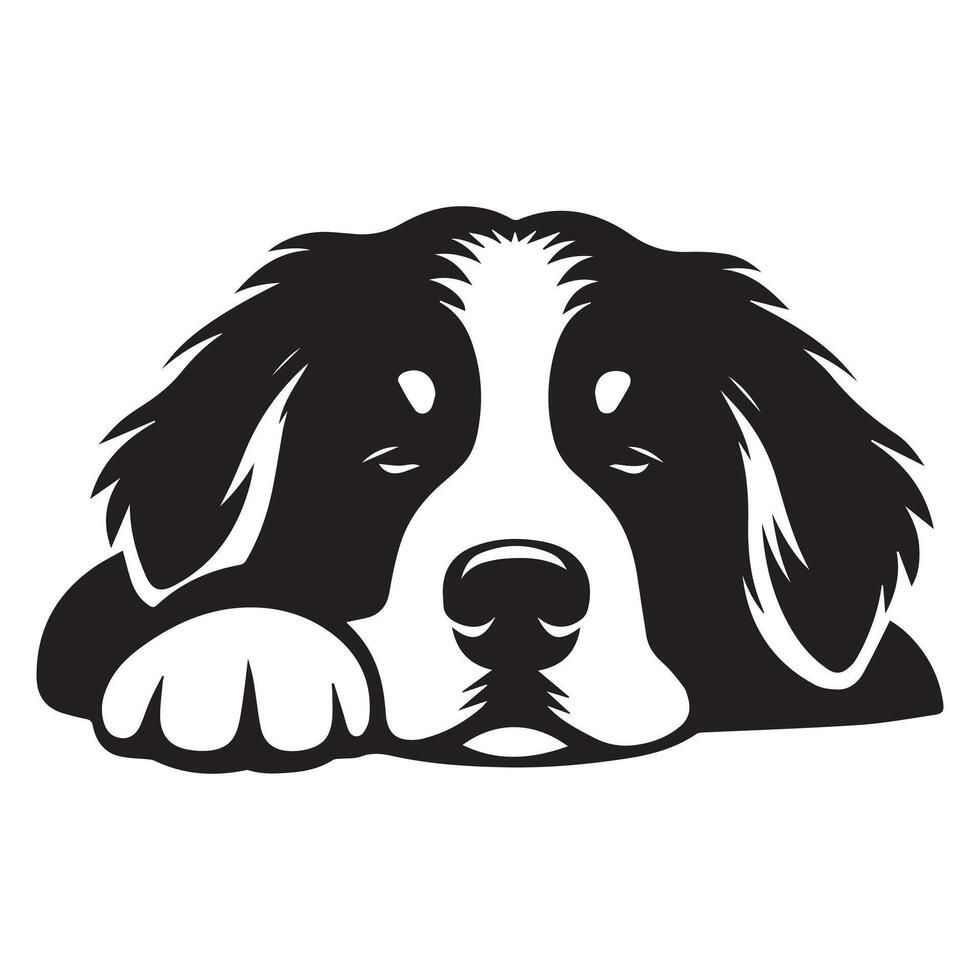 Dog - A Tranquil Bernese Mountain Dog face illustration in black and white vector