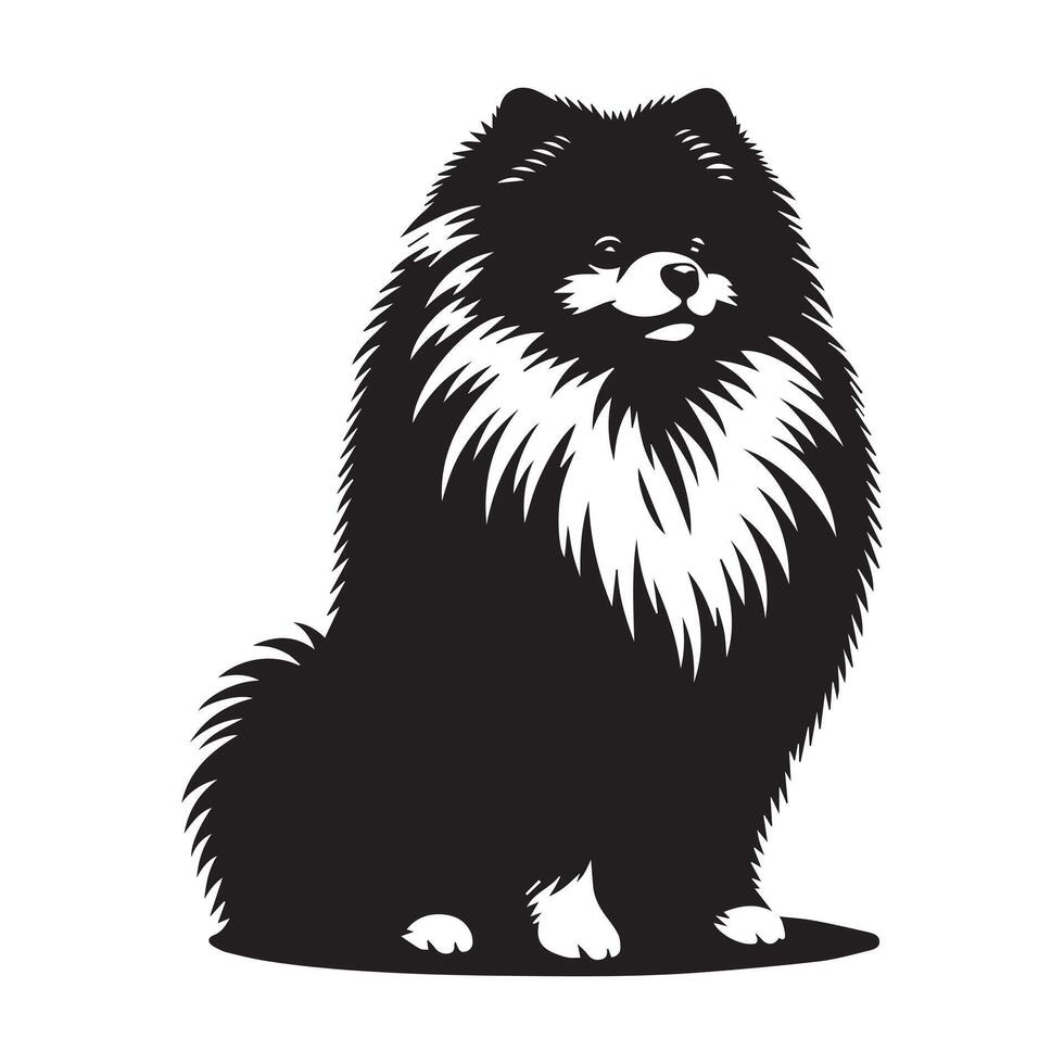 illustration of A Pomeranian Dog sitting in black and white vector