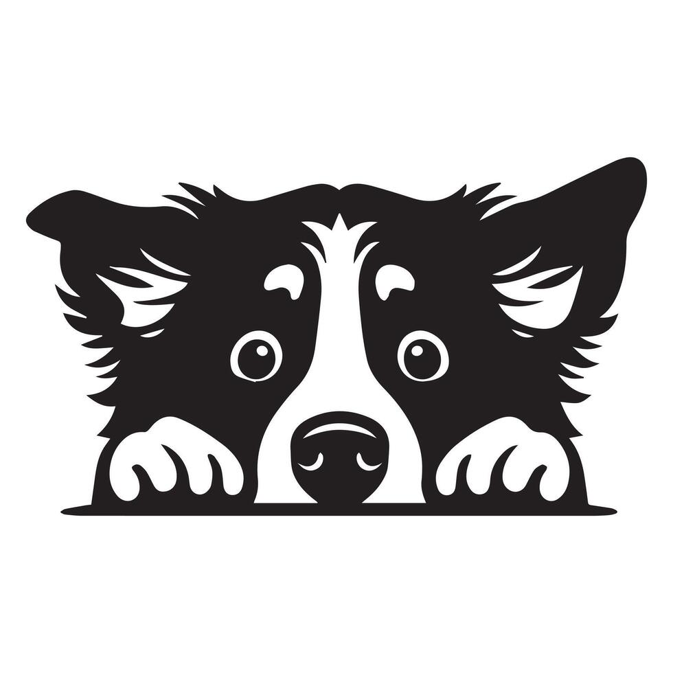 Dog - A Fearful Bernese Mountain Dog face illustration in black and white vector