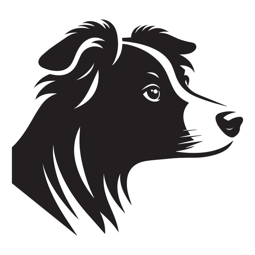 Dog - A Thoughtful Border Collie dog face illustration in black and white vector