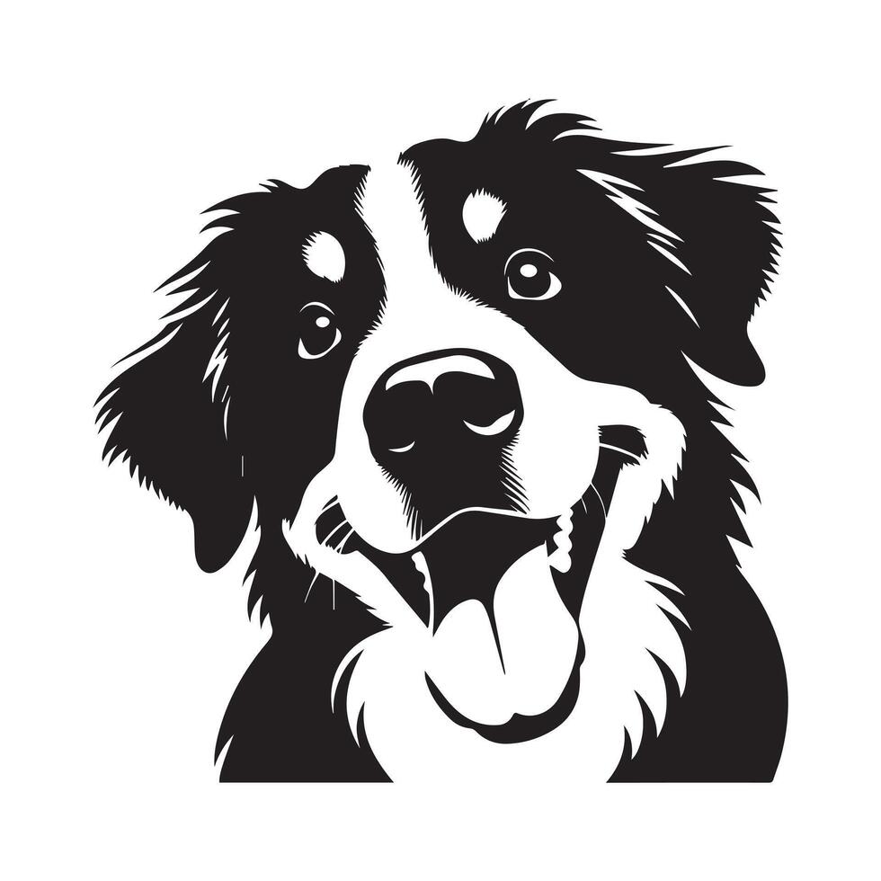 Dog - A playful Bernese Mountain Dog face illustration in black and white vector