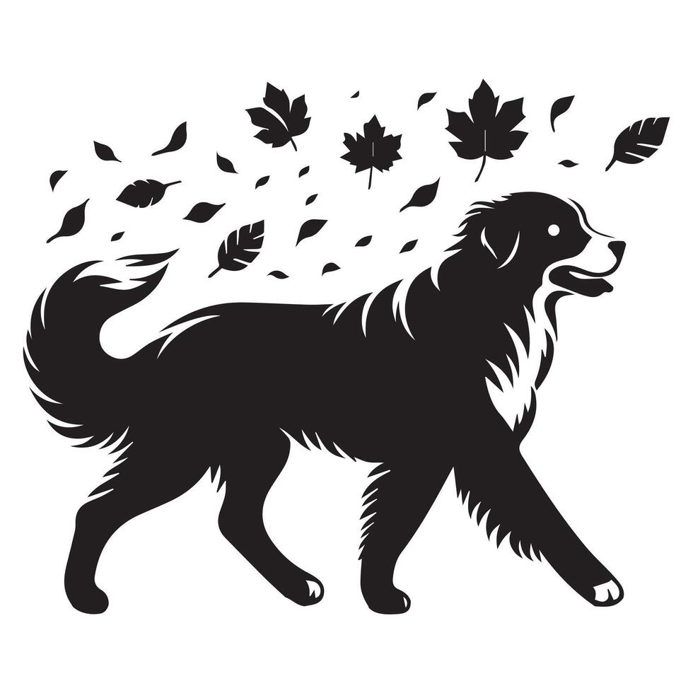 Dog - A Bernese Strolling through falling leaves illustration in black and white vector