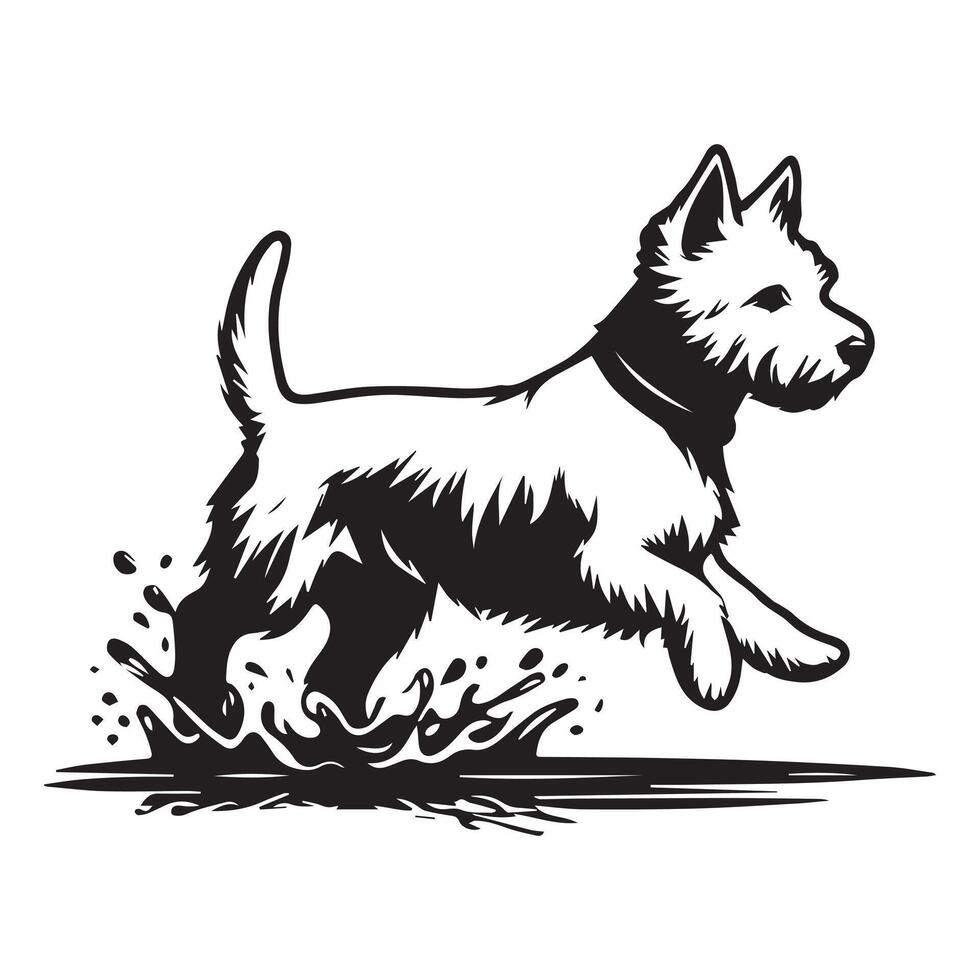 Westie Dog - West Highland White Terrier Splashing in Puddle illustration vector