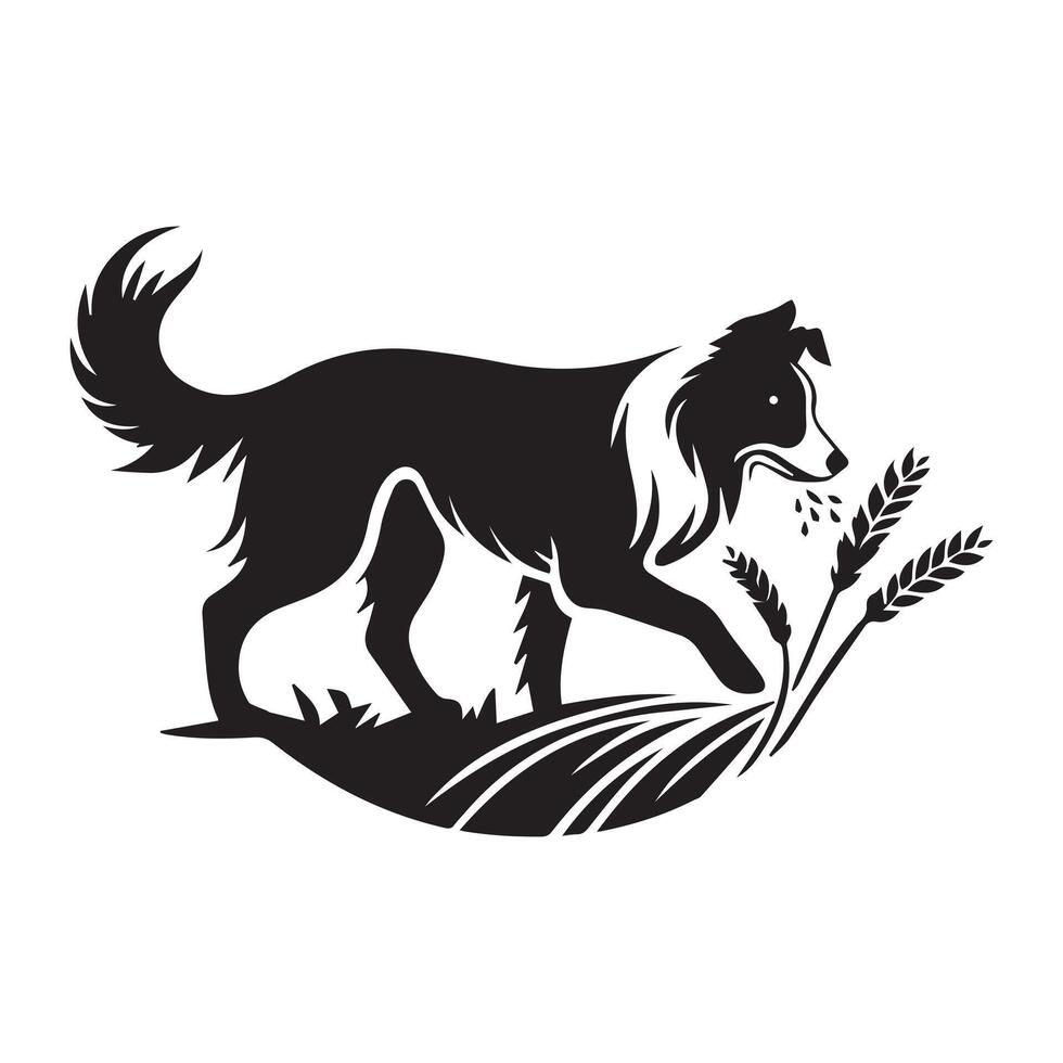 Dog - A Border Collie Busy in Farm illustration in black and white vector