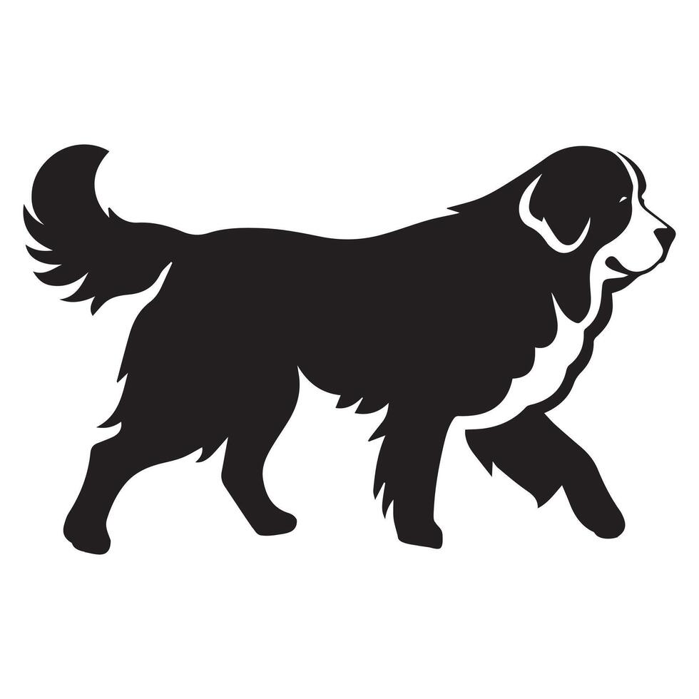 A Bernese Leading the way on a hiking trail illustration vector