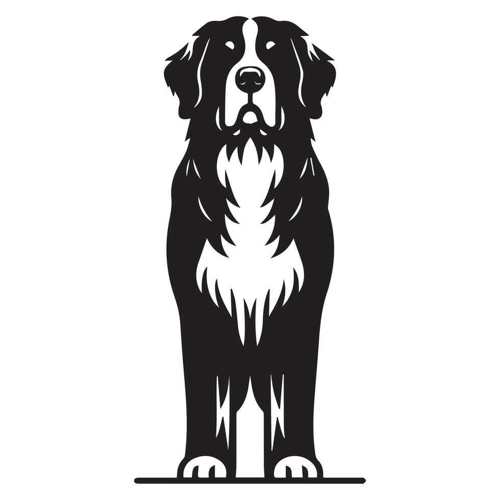 Dog - A Proud Bernese Mountain Dog face illustration in black and white vector