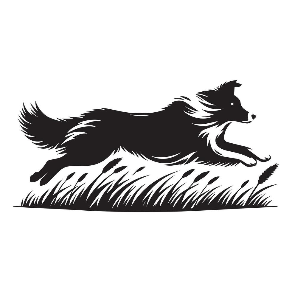 A Border Collie Gliding gracefully through tall grass illustration vector