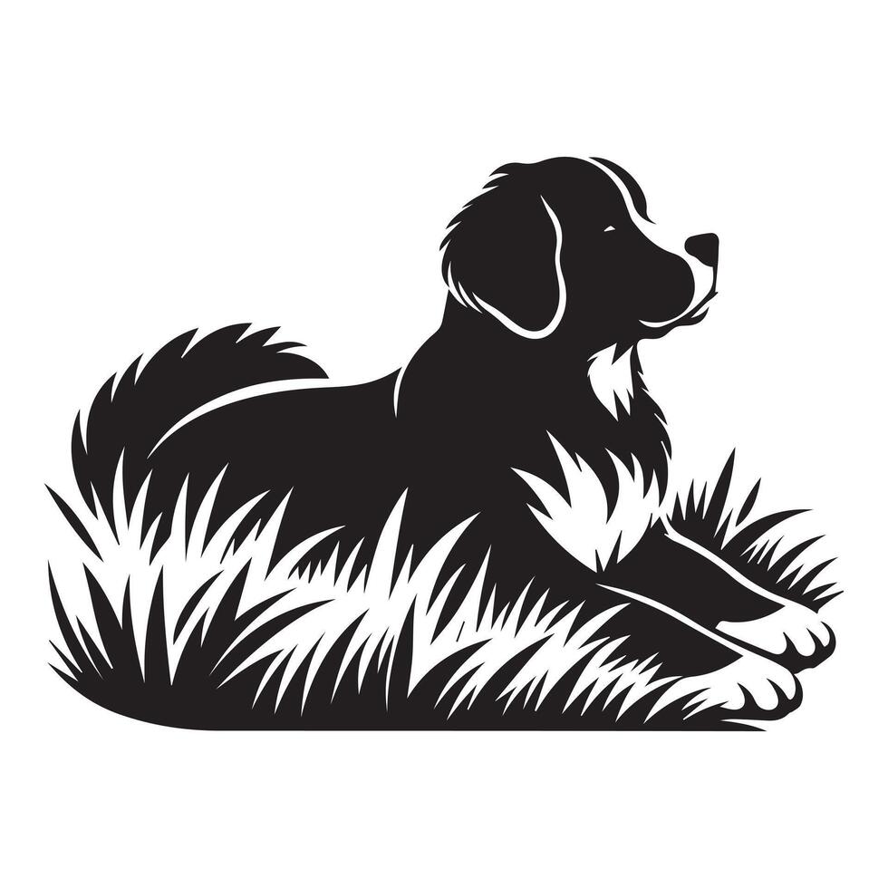 Dog - A Bernese Lying down in a lush meadow illustration in black and white vector