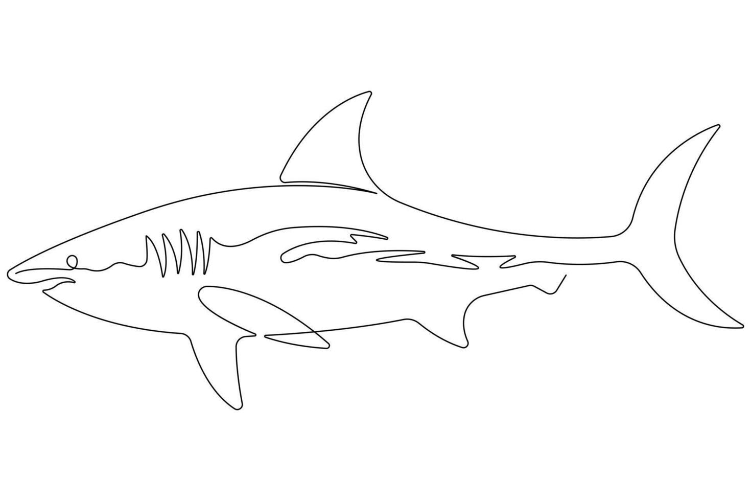 One continuous single line art drawing of shark sea fish underwater outline minimalist illustration vector