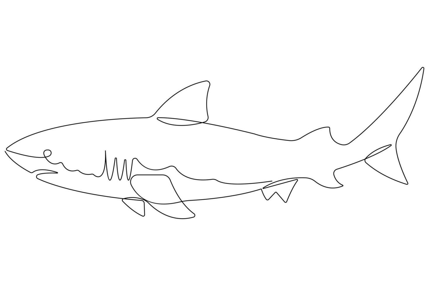 One continuous single line art drawing of shark sea fish underwater outline minimalist illustration vector