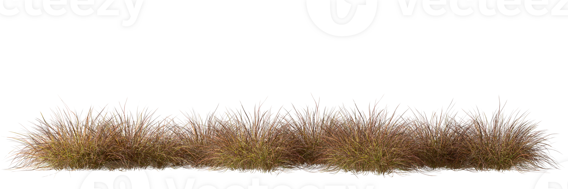 Savanna grass field row on transparent backgrounds 3d rendering png