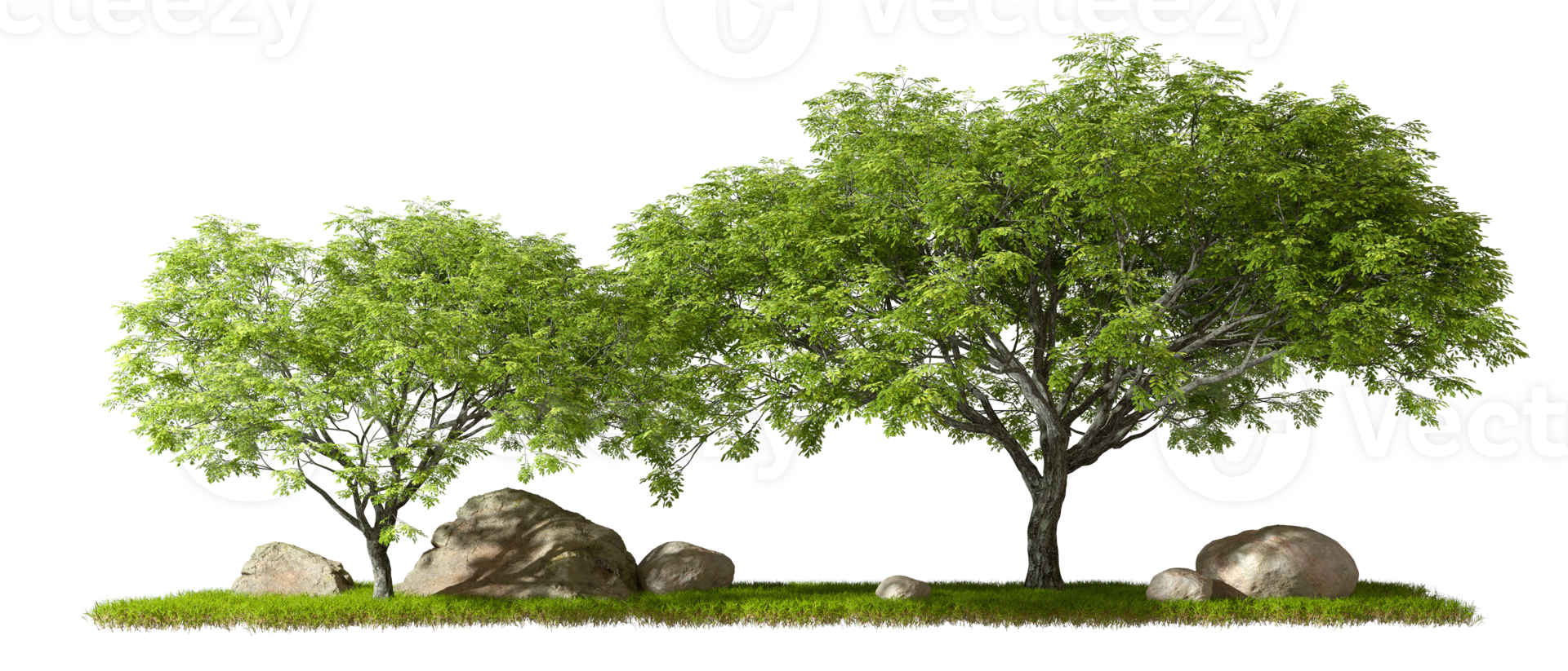 Landscape forest composition design on transparent backgrounds 3d rendering png