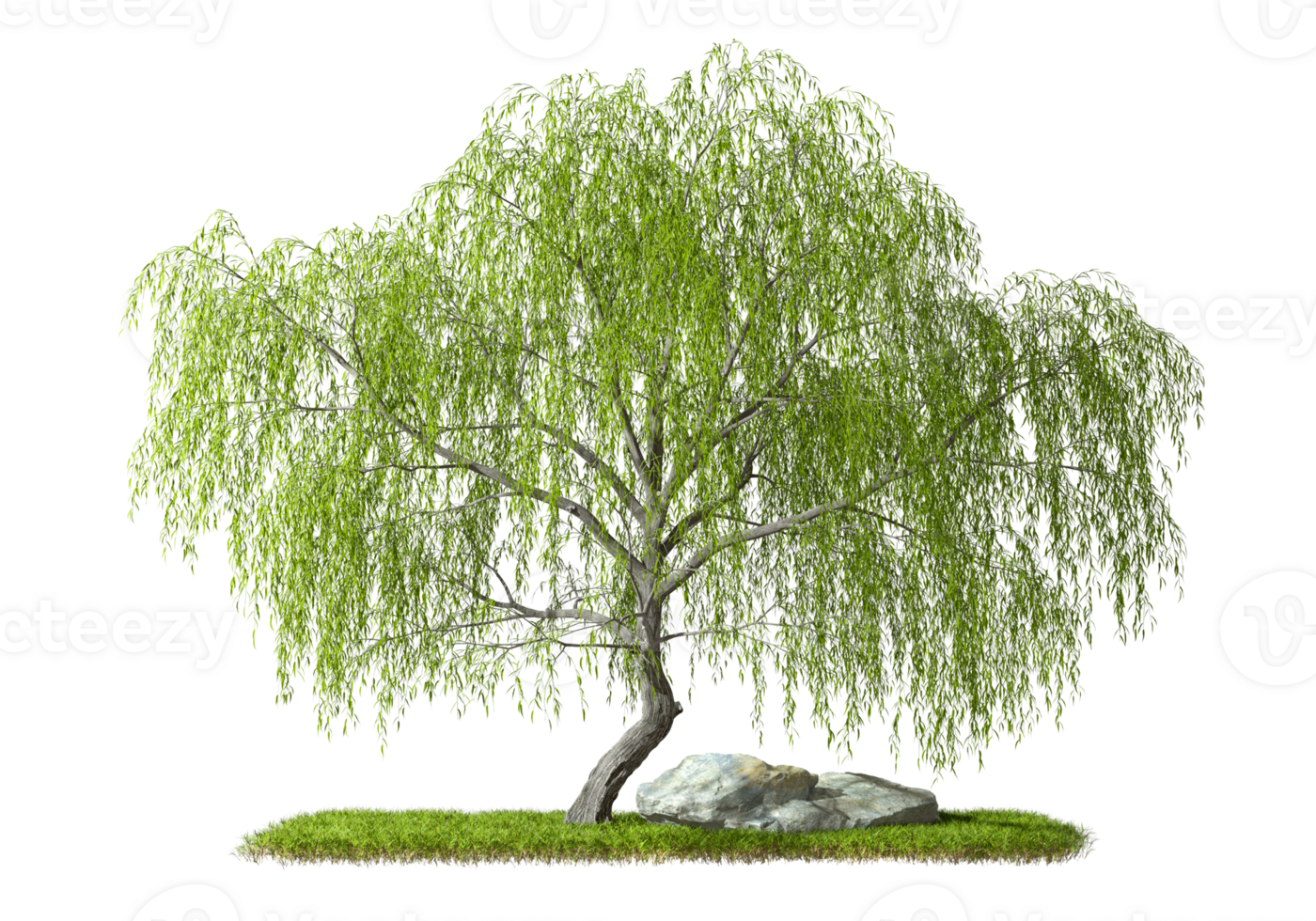 Nature tree on greenery grass layout cut on transparent backgrounds 3d illustration png