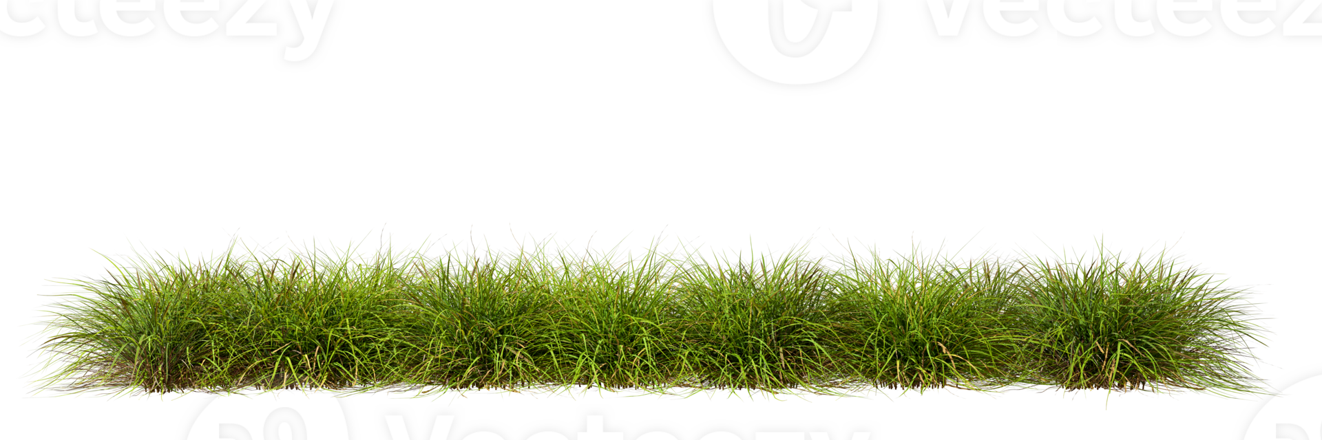 weide gras rij prairie uitknippen transparant achtergrond 3d renderen png