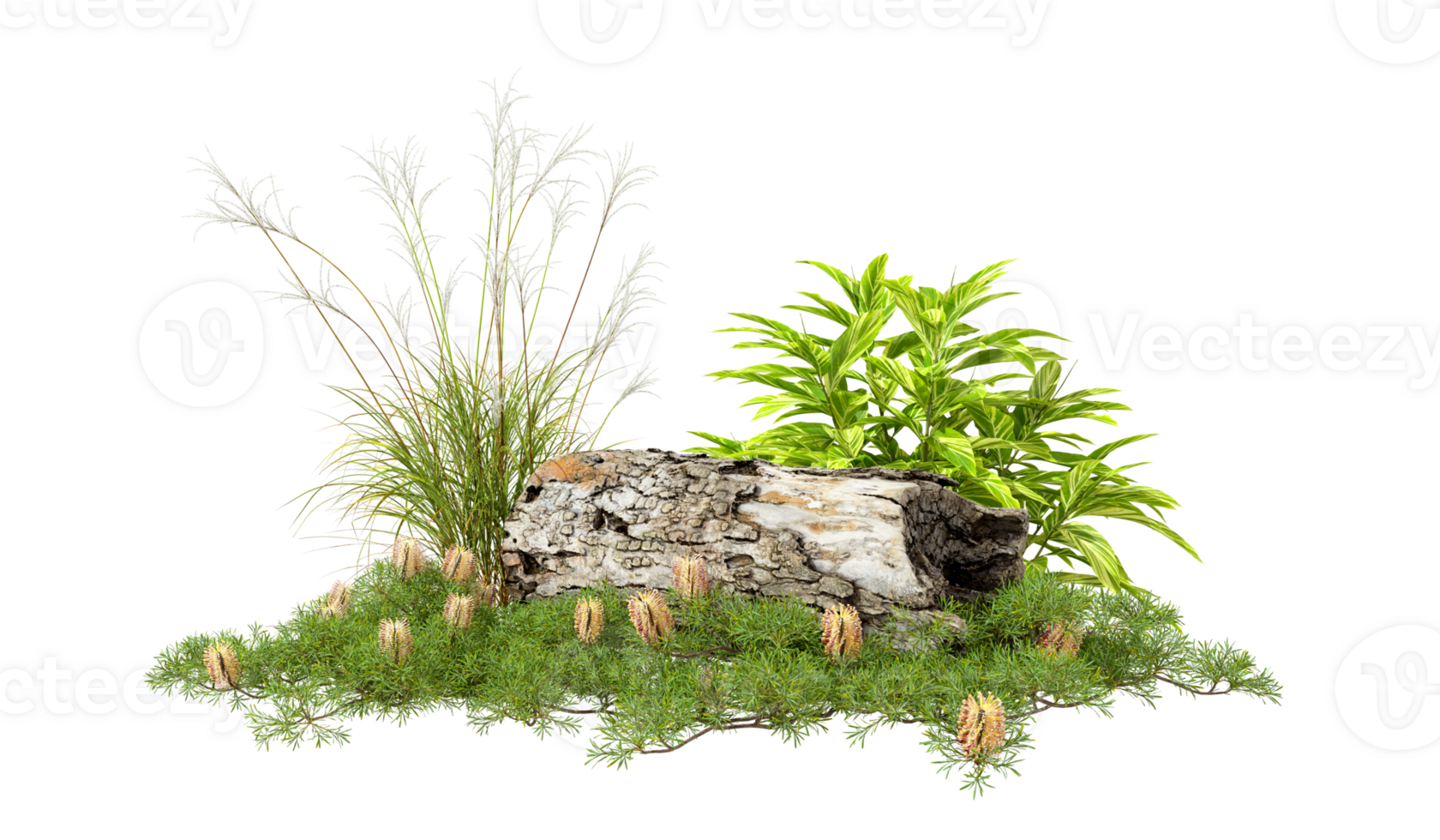 Cut out nature log wood timber forestry 3d rendering png