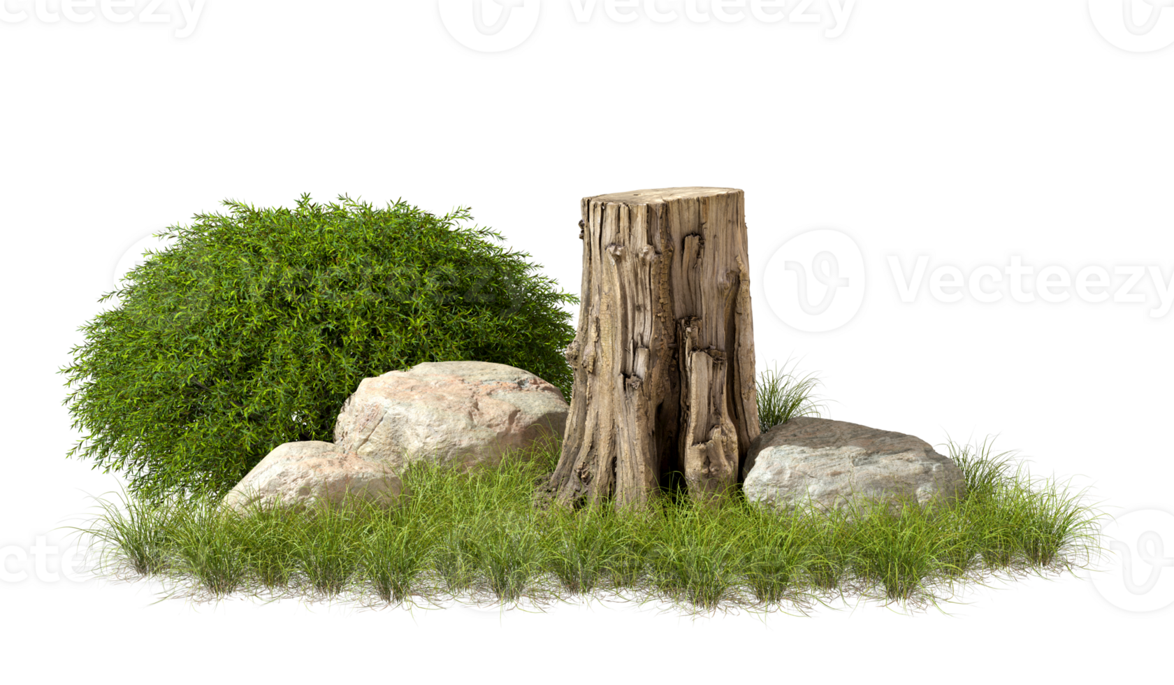Cutout nature wild layout on grass meadow floor 3d rendering png