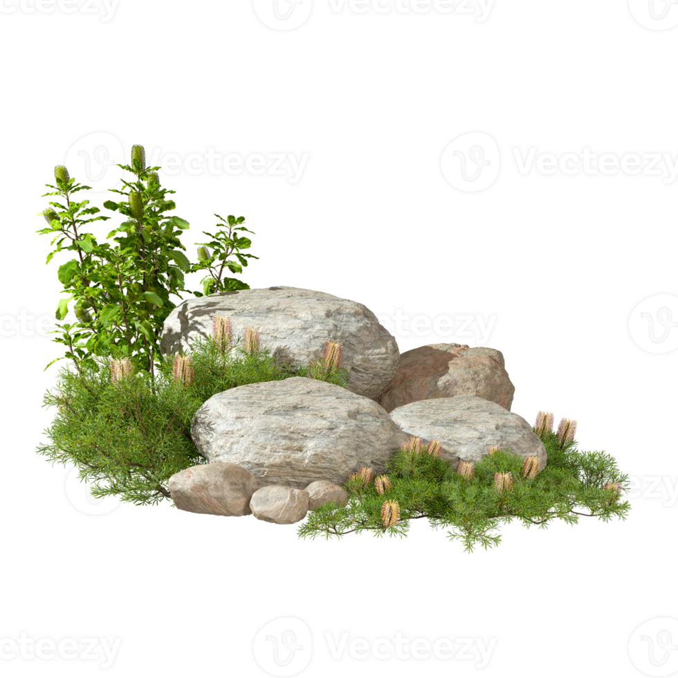 Gardening design rock and tropics plants cutout backgrounds 3d render png