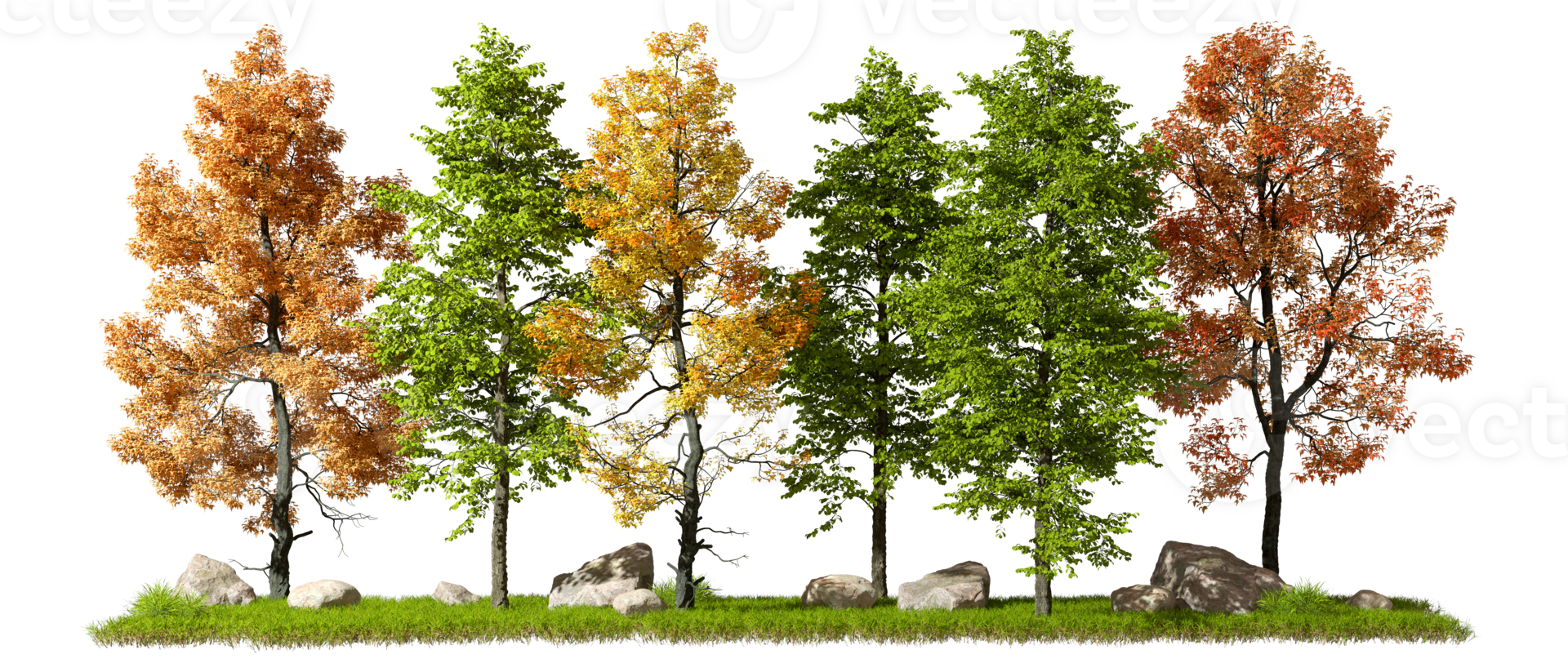 Landscaping trees row on transparent backgrounds 3d rendering png