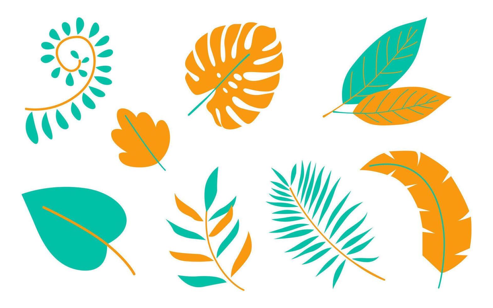 Monstera and palm leaves collection isolated on white background. Exotic and botanical plant element vector