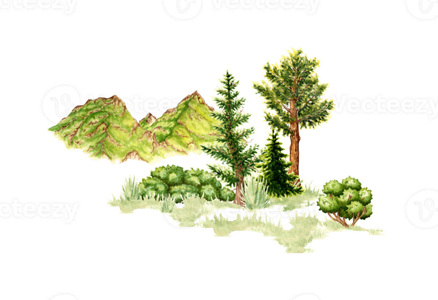 Natural landscape element watercolor illustration. Forest wildlife scene with green grass, coniferous trees, bushes and mountains. For composing compositions on the theme of forest, tourism, travel. png