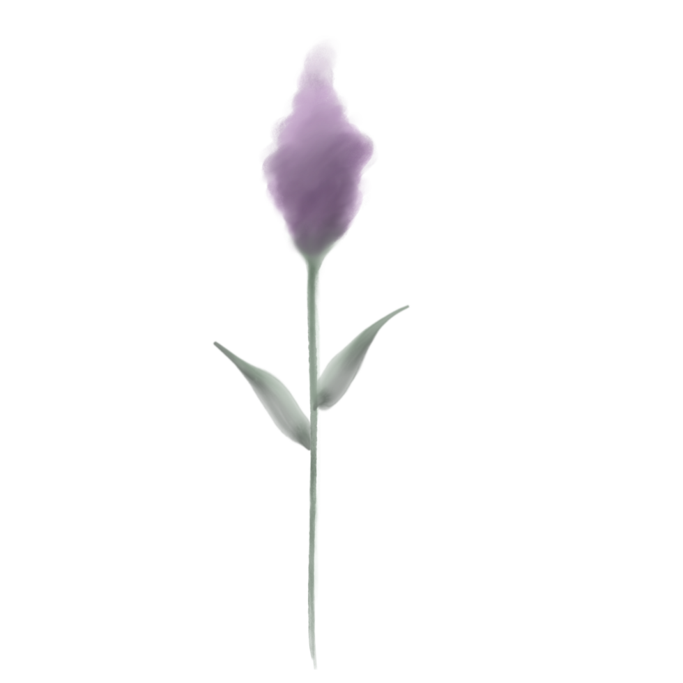 A Purple Flower on a Transparent Background png