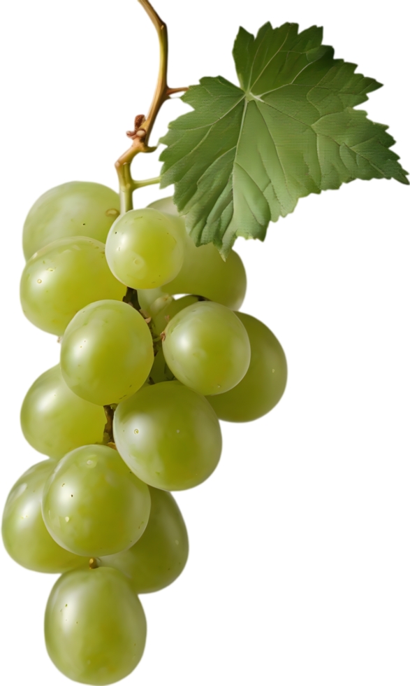A bunch of green grapes with a green leaf attached. AI-Generated. png