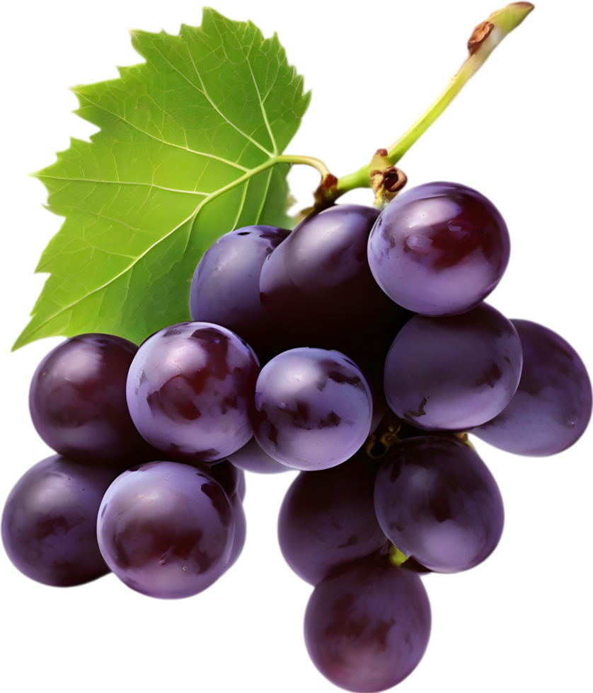 A bunch of dark purple grapes with a green leaf attached. AI-Generated. png