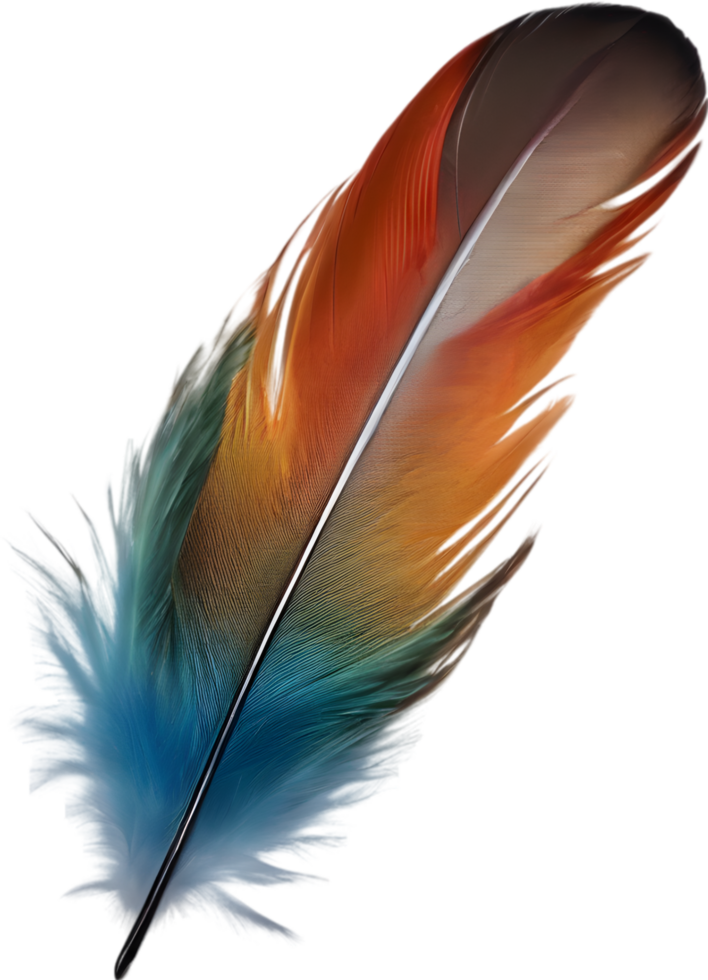 Close-up of rainbow-colored feathers inspired by the rainbow lorikeet. AI-Generated. png