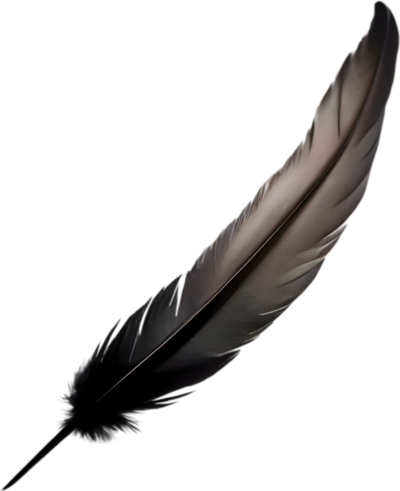 Close-up of black crow-inspired feathers. AI-Generated. png