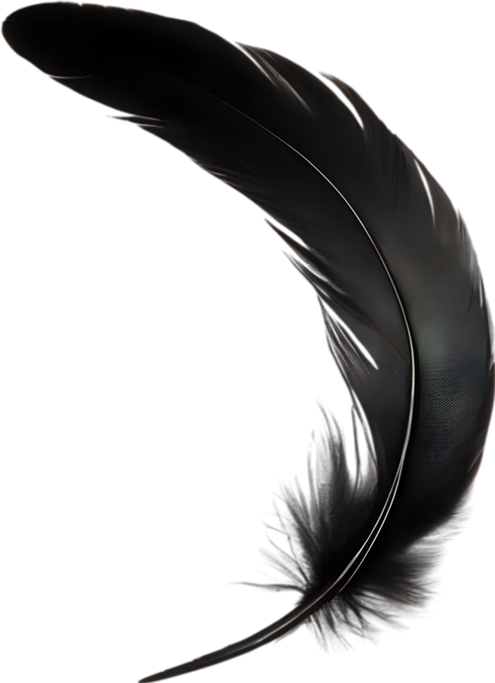 Close-up of black crow-inspired feathers. AI-Generated. png