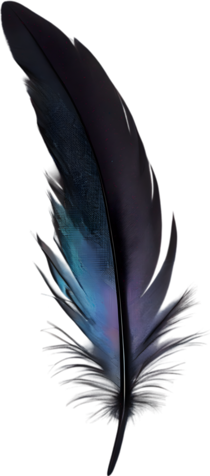 Close-up of black crow-inspired feathers. AI-Generated. png