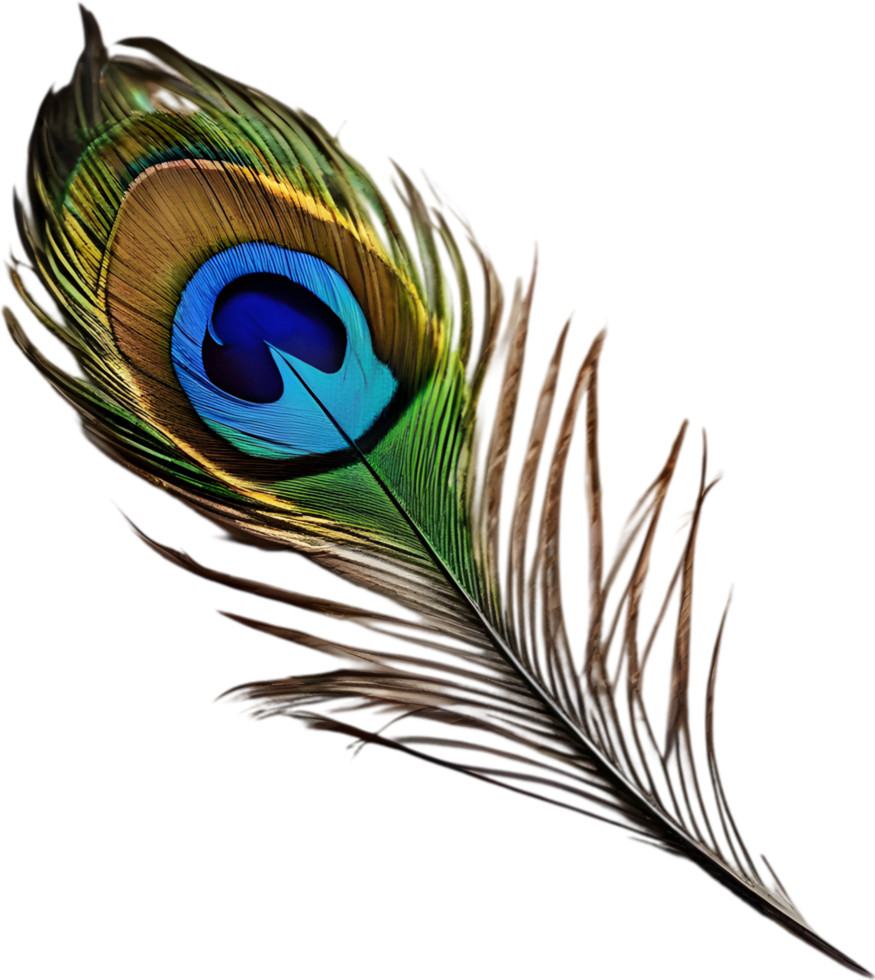 Close-up of beautiful peacock-inspired feathers. AI-Generated. png