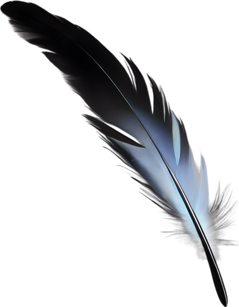 Close-up of black crow-inspired feathers. AI-Generated. png
