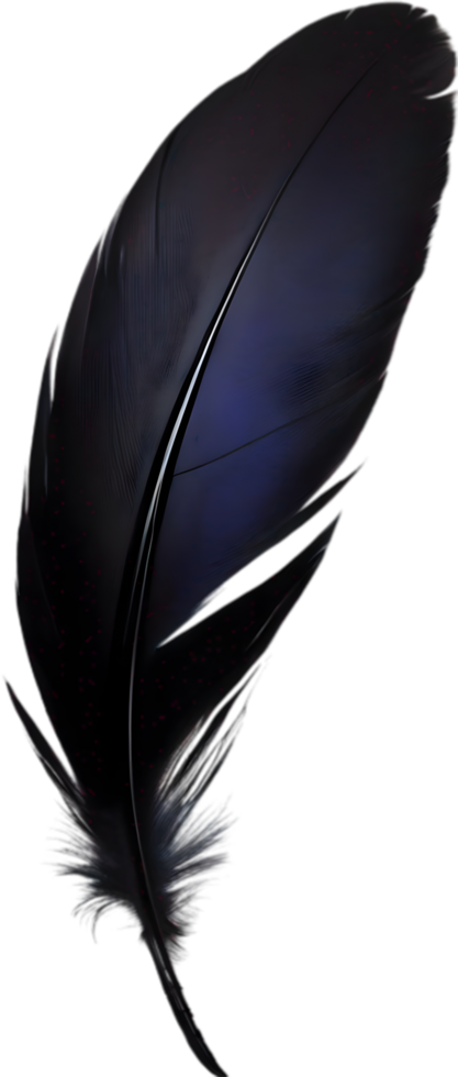 Close-up of black crow-inspired feathers. AI-Generated. png
