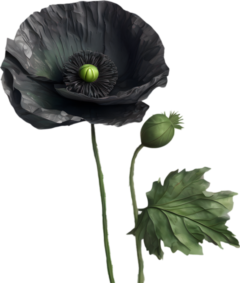 A poppy in hyper-realistic cartoon style. Ai-generated. png